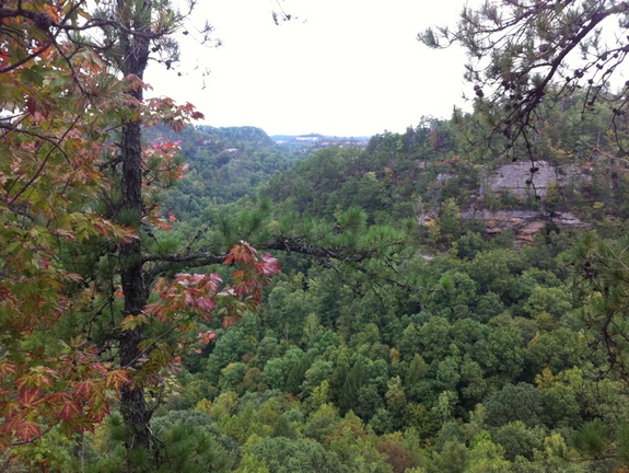 Gray's Arch